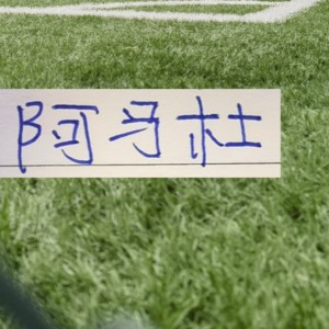 开云体育下载-第一轮外援中场大腿 没想到前申花外援阿马杜回春了！